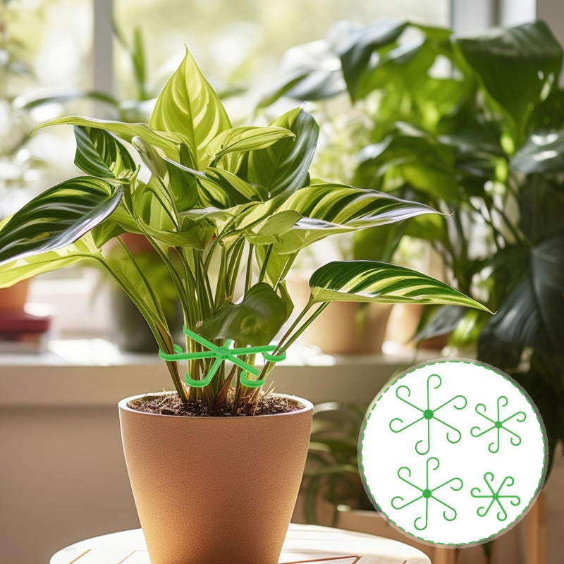 Tyqour 8pcs Plant Stem Support Climbing Houseplant Support Stakes for Indoor Plants Reusable Plastic Climbing Plant Support Plant Trellis Indoor Ideal Plant Support for Thriving Growth - Image 2